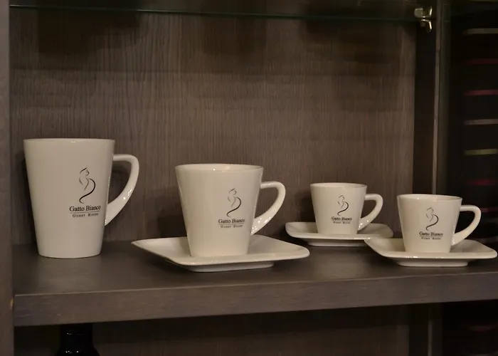 Gatto Bianco Casa Dei Venti ベッド・アンド・ブレックファスト バーリ