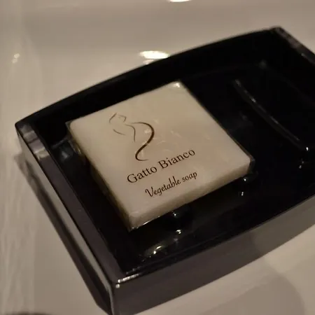 Gatto Bianco Casa Dei Venti לינה וארוחת בוקר בארי