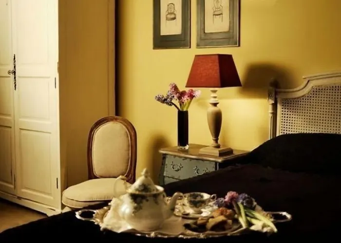 Gatto Bianco Casa Dei Venti