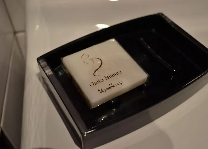 Gatto Bianco Casa Dei Venti Bed & Breakfast Bari