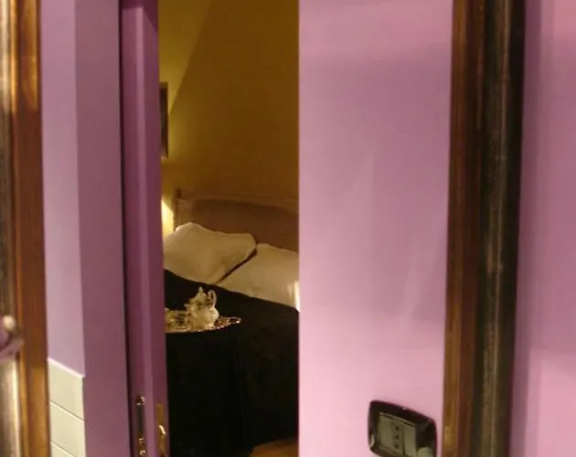 Gatto Bianco Casa Dei Venti